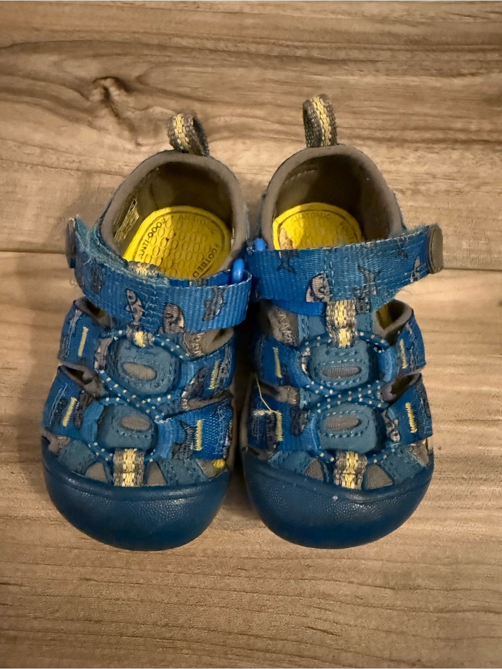 Keen Kids Blue Outdoor Sandals with Shark Print Size 4